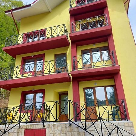 Vila Ioana Hotel สลานิก-มอลโดวา ภายนอก รูปภาพ